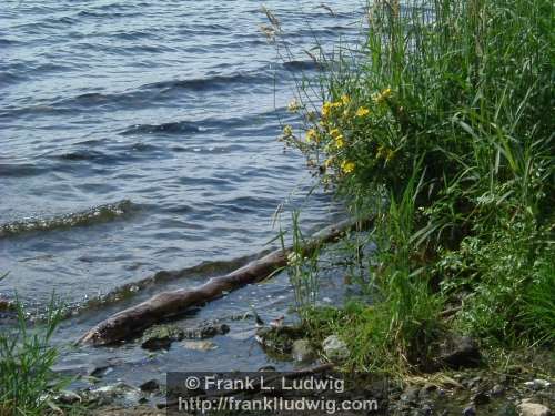 Lough Gill, County Sligo